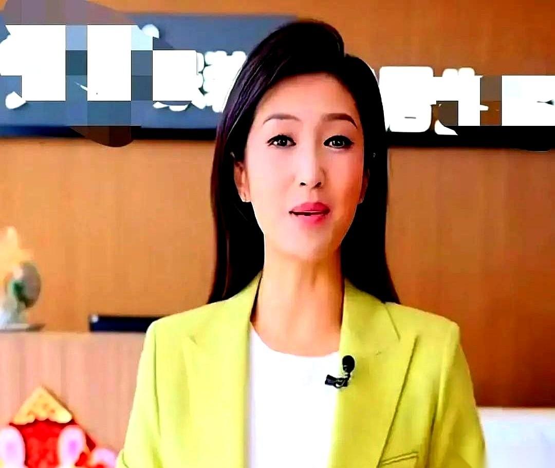 那个在北京台念新闻稿、一脸严肃的“一姐”，突然就从电视上消失了。我妈是她铁粉，