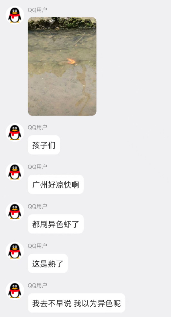高温烹煮