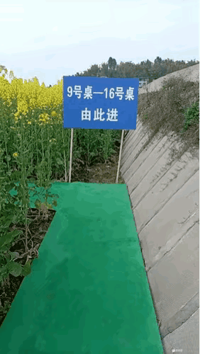 这想法不错摆桌都摆到地里面了