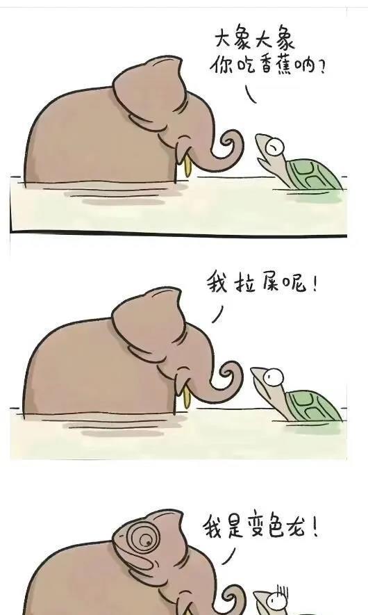 偶尔刷到的，笑死了。