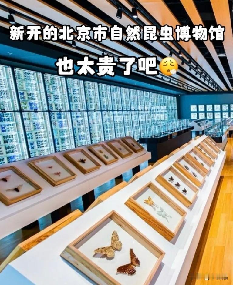 新开的“北京市自然昆虫博物馆”也太贵了吧，票价129元。新开的“北京市自然昆虫