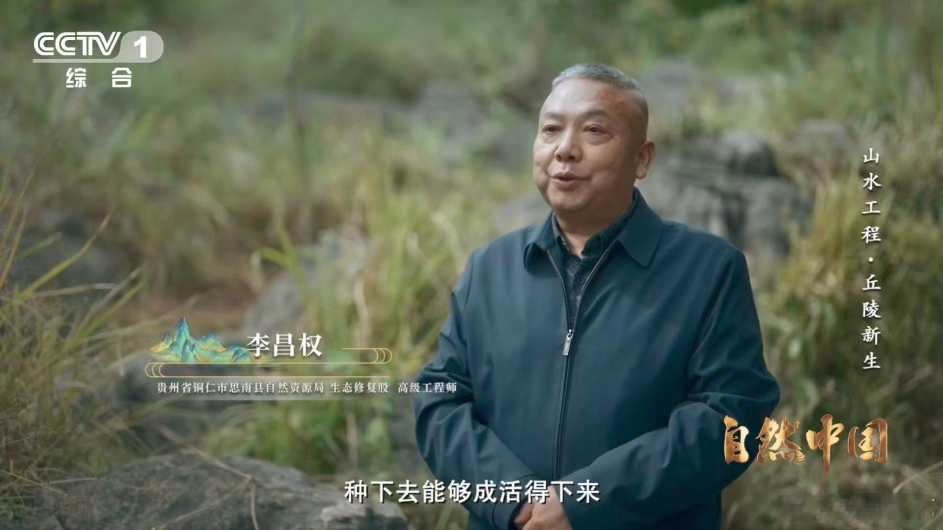 荒山秃岭如今变青山石漠化治理让荒山披绿装石漠化曾让乌江畔满目疮痍，土壤稀薄难育