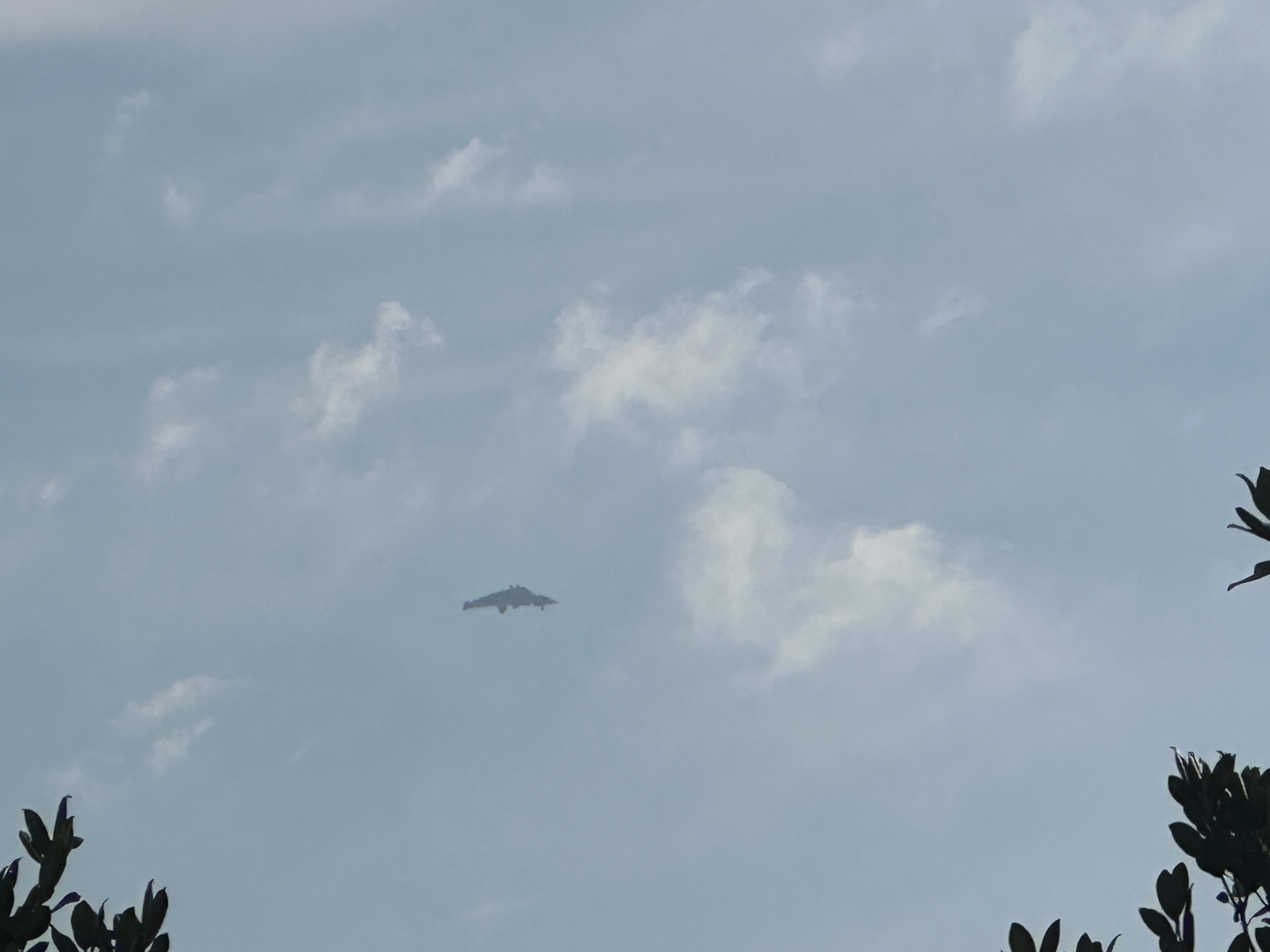 南6⃣️二号又飞了图源网络