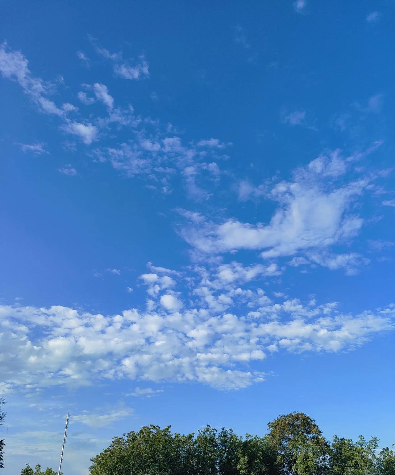 #分享城市新鲜事#今天的天气真好！蓝天白云，凉风习习，绿树青草。一切都是那