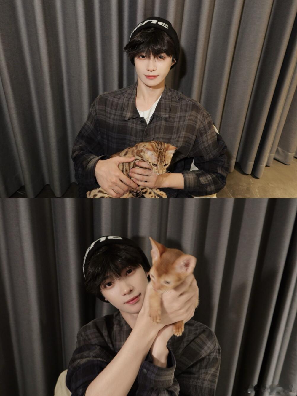 梓渝我终于养小猫啦…而且还是两只哦一只叫“大鱼”一只叫“小十一”