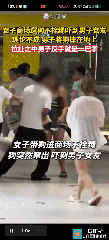 湖南长沙，一名女子在商场内遛小型宠物狗，全程没有佩戴牵引绳，小狗突然窜到一对逛街
