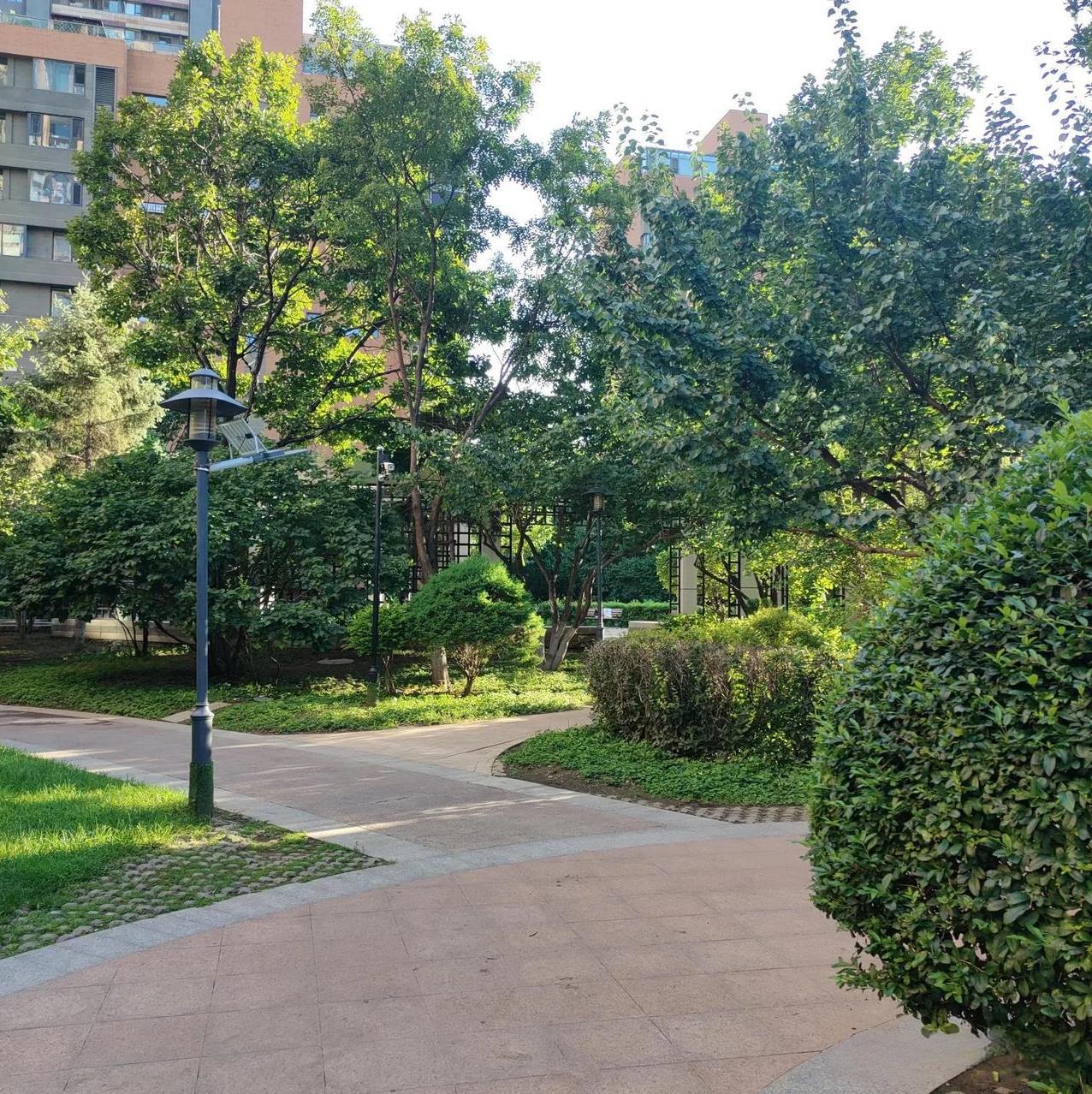 同学上午给我打电话，问我在忙啥，我说没事，退休了还能忙啥。聊了几句后，同学对我