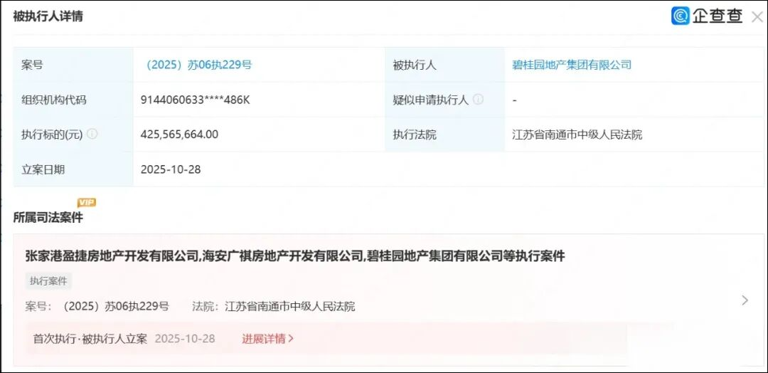 房产巨头碧桂园, 被执行4.2亿元