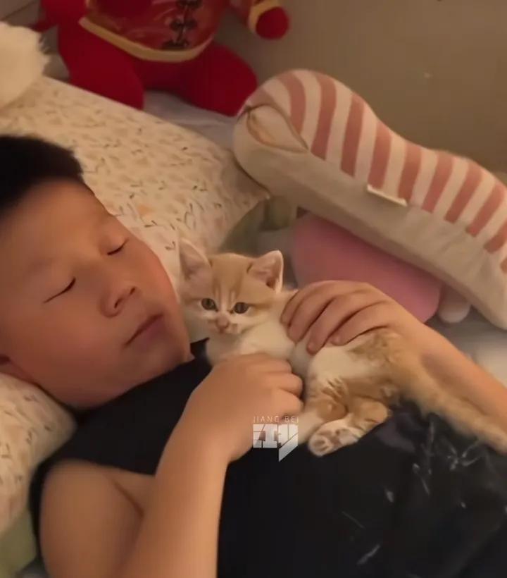 如果科学解释不了，不妨用爱试试。河南一位小男孩，爸爸去世3年多了，偶然一天妈妈