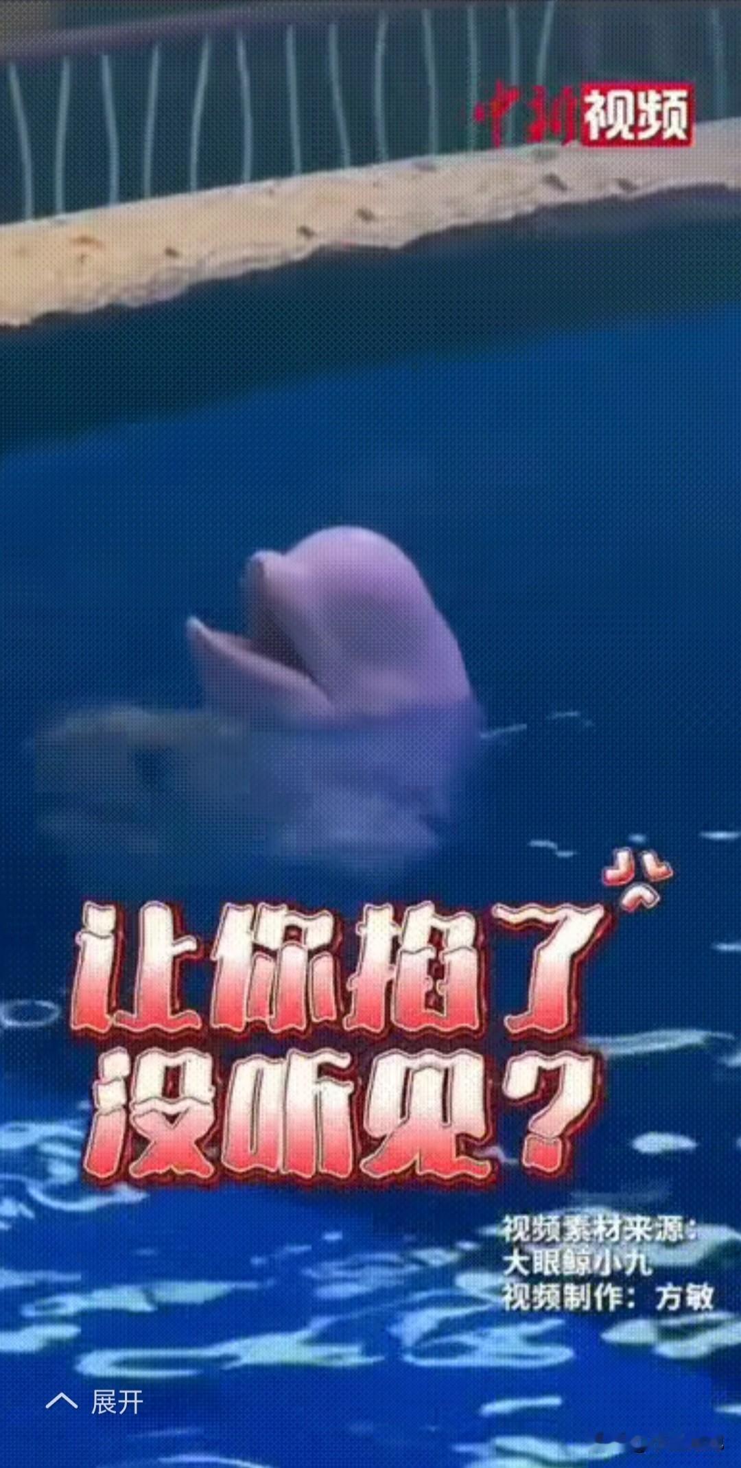 笑不活了！男子在海洋馆内抽烟，工作人员见状急忙跑上前劝阻“先生，这里禁止吸烟。”