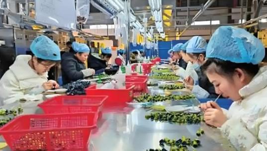 为什么我们的市场会那么卷？其实有一个非常重要的问题，可能被大家都忽略了，那就是我