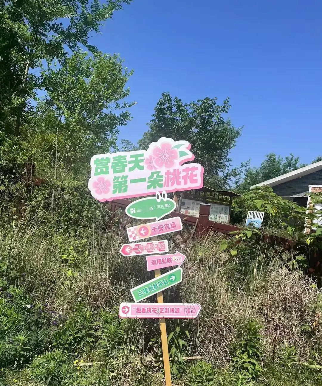 A女士三年恋爱被一句“我老婆根本没离婚”当场击碎。她半夜蹲在阳台外录下男友跟哥