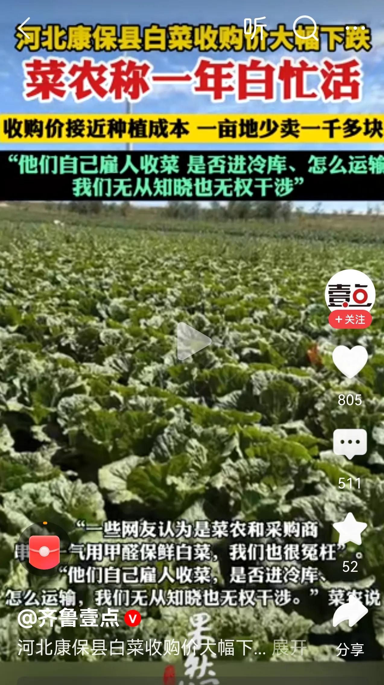 当初福建的杨梅种植农户也是这么说的，但市场是无情的！