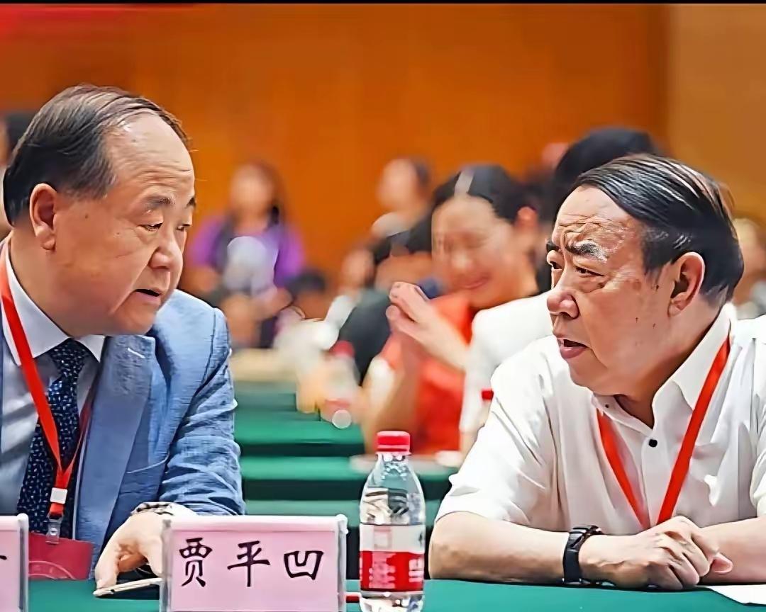 世界认可？中国认可？难道获得双认可的莫言作品不能代表中国文学？莫言的作品能代表中