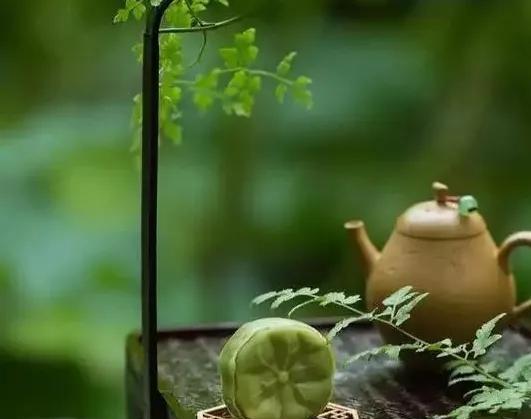 杨绛先生：“如果有一天，你的老公背叛了你，记得不要伤心，更不要生气，更不要作贱自