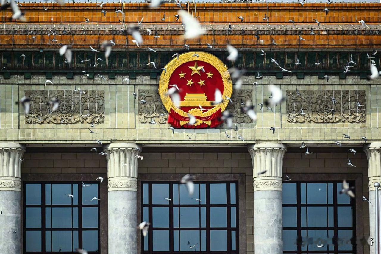 以前不明白北京人为什么那么喜欢养信鸽，看完今天的九三阅兵后，终于明白了。刚刷