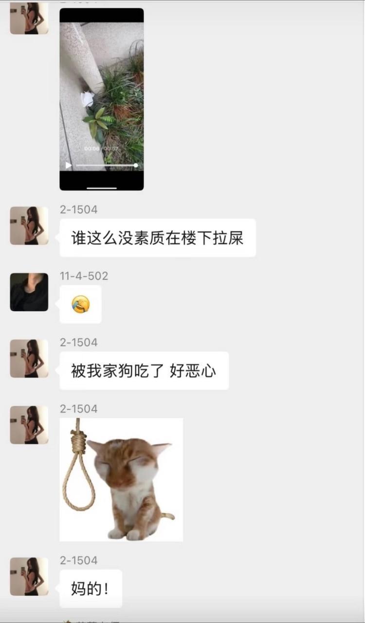 611 被狗吃了笑死我了 ​​​