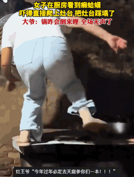 笑不活了！河南，一女子进厨房做饭，突然看到角落蹲着一只满身疙瘩的癞蛤蟆。她瞬间吓