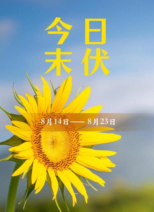提醒大家注意了，时间已经定了！8月14日，农历七月初二，正式进入末伏。这
