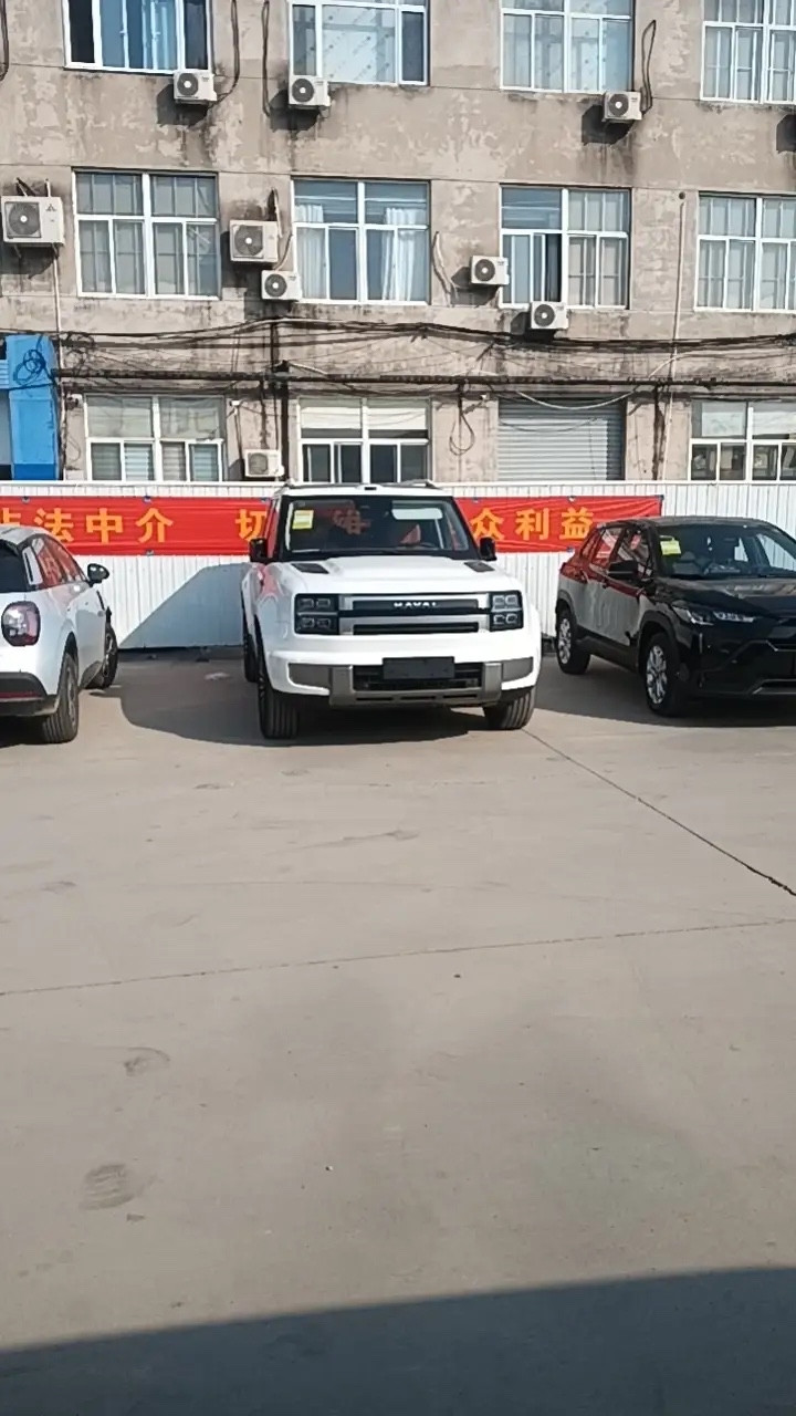 长城H10想在卷到离谱的家用SUV市场杀出来，其实手里的牌真的不算差。从命名阶段就有超70万网友主动