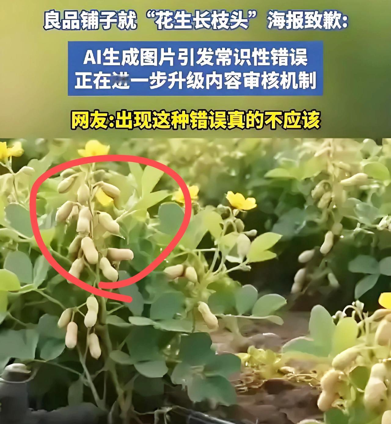 要不是在农村长大的，我可能还真信了，想敷衍用AI作图可以，但好歹得有点常