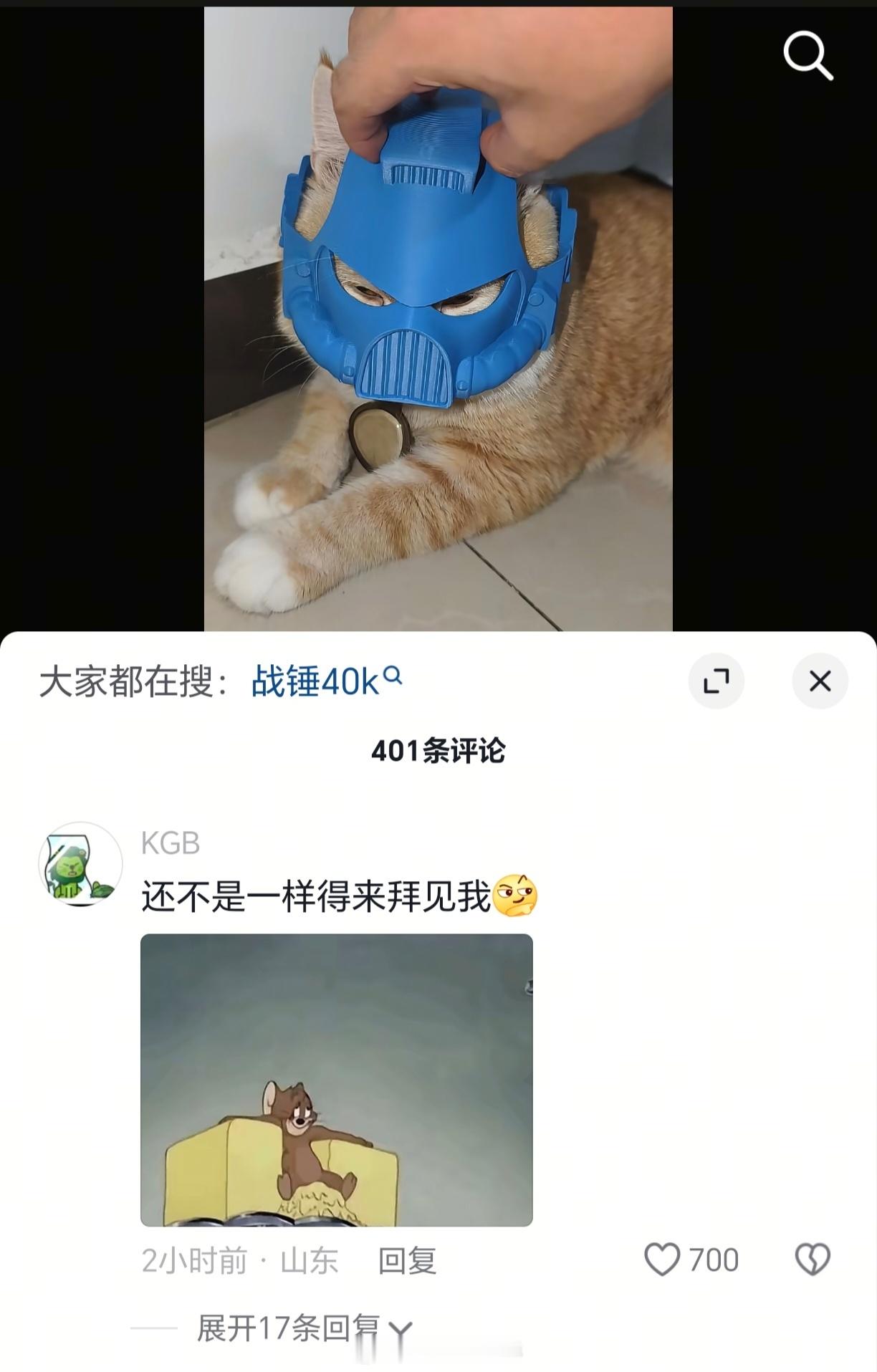猫鼠队怎么什么场合都能发力…​​​