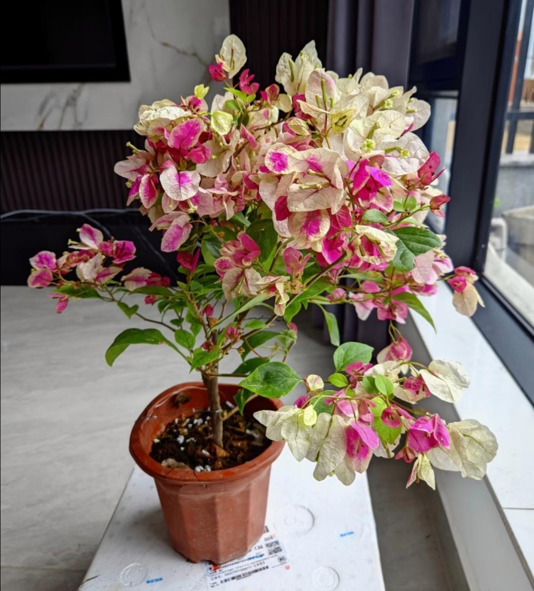 不作死就不会死同学女儿才30岁，还没有结婚，突发胰腺炎，送医院根本没有抢救过来。