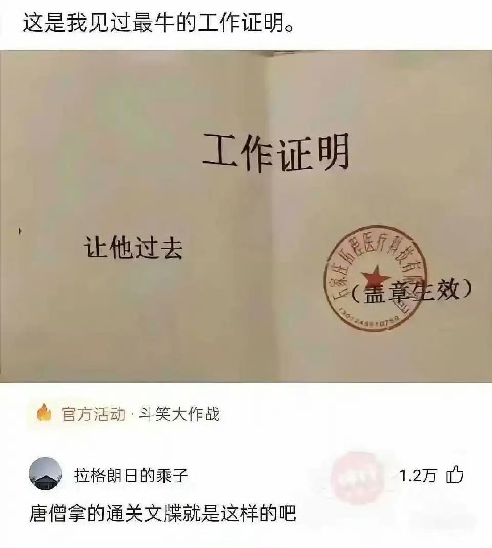 如果唐僧活在现世，他的通关文牒长这样吧？