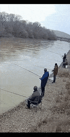 如果这是真的，谁不天天去捡鱼[捂脸哭]