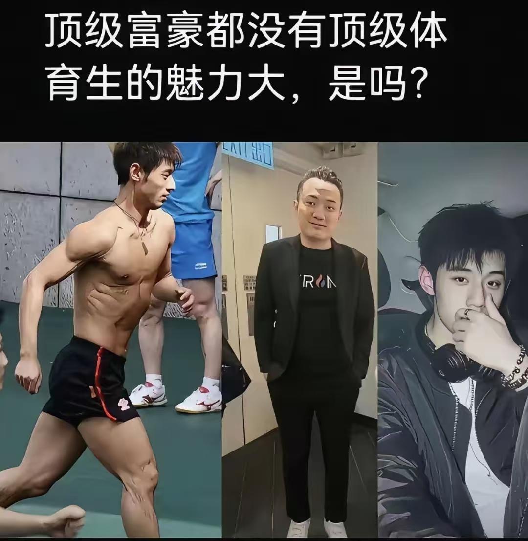 三个类型放一起，你选哪个啊？