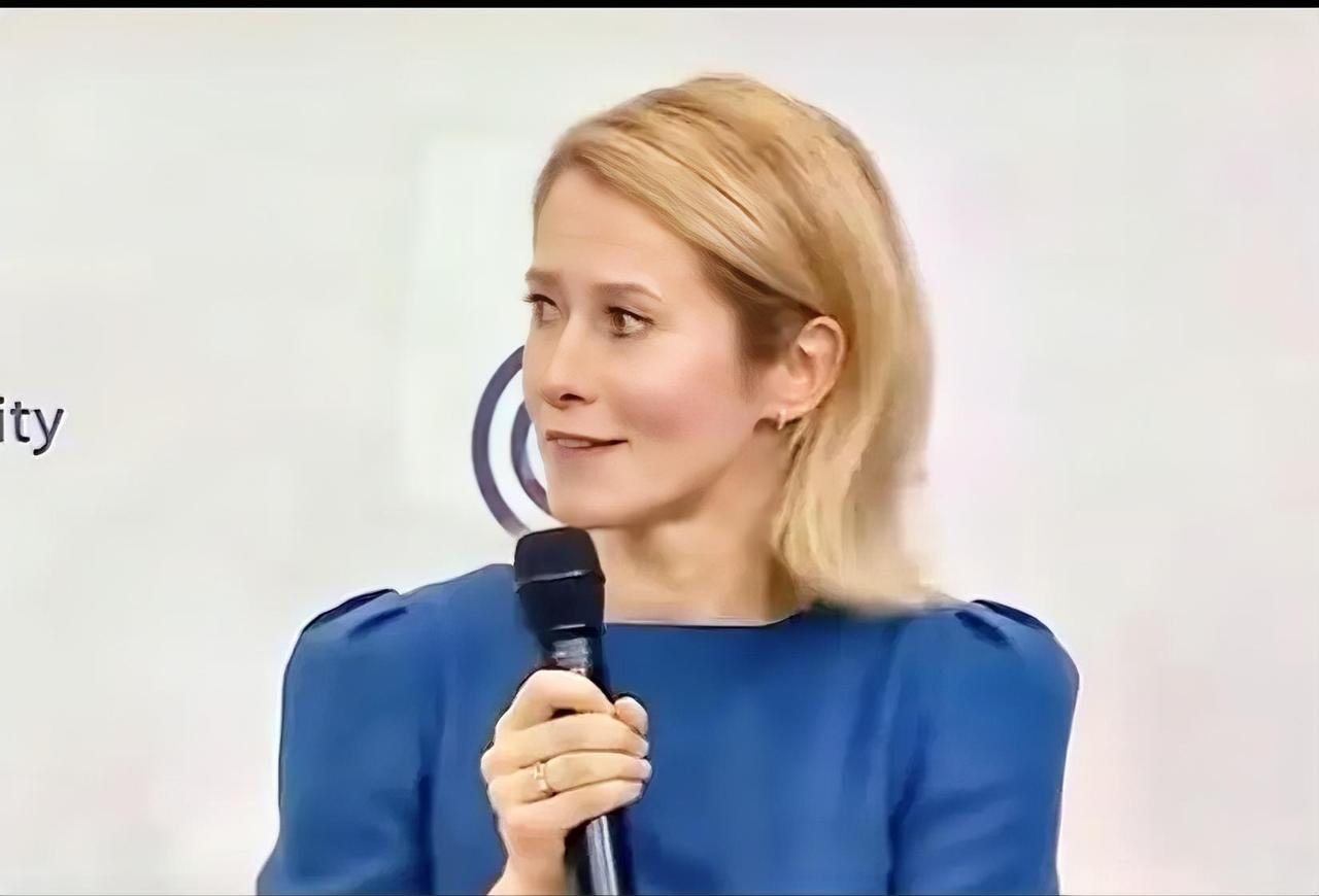 欧盟外长的一番话，让中国网友目瞪口呆：她为什么还这么天真？近日，在慕安会上，