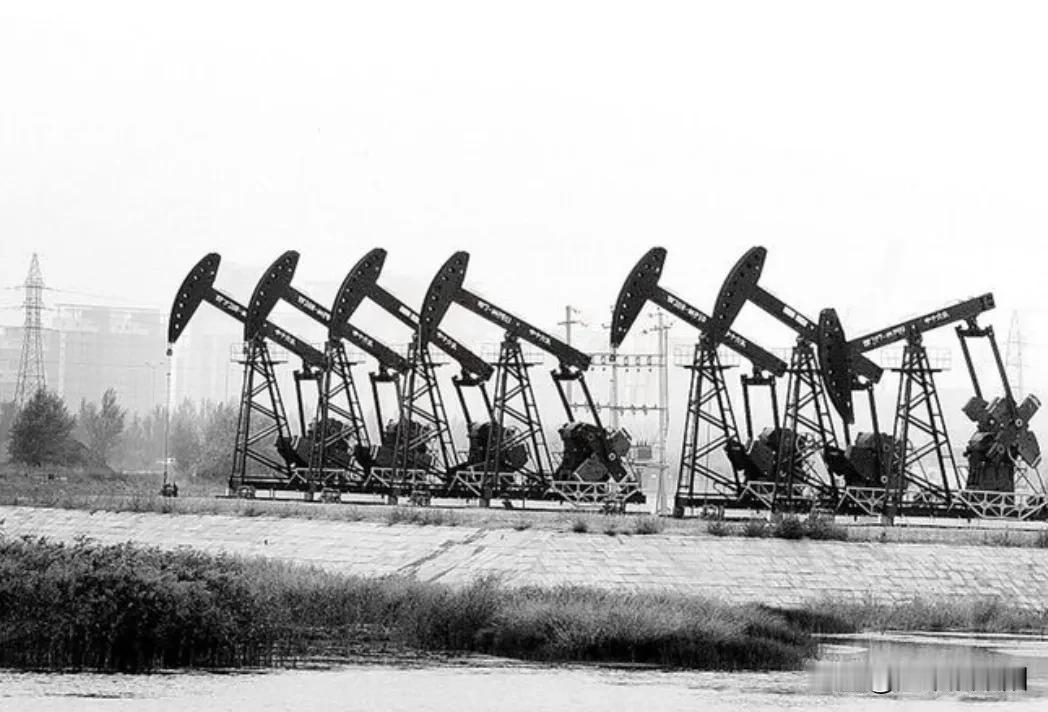 当年日本没发现大庆油田，看似是国运，背后实则是东北抗联先辈们的以命相拼。当时日本