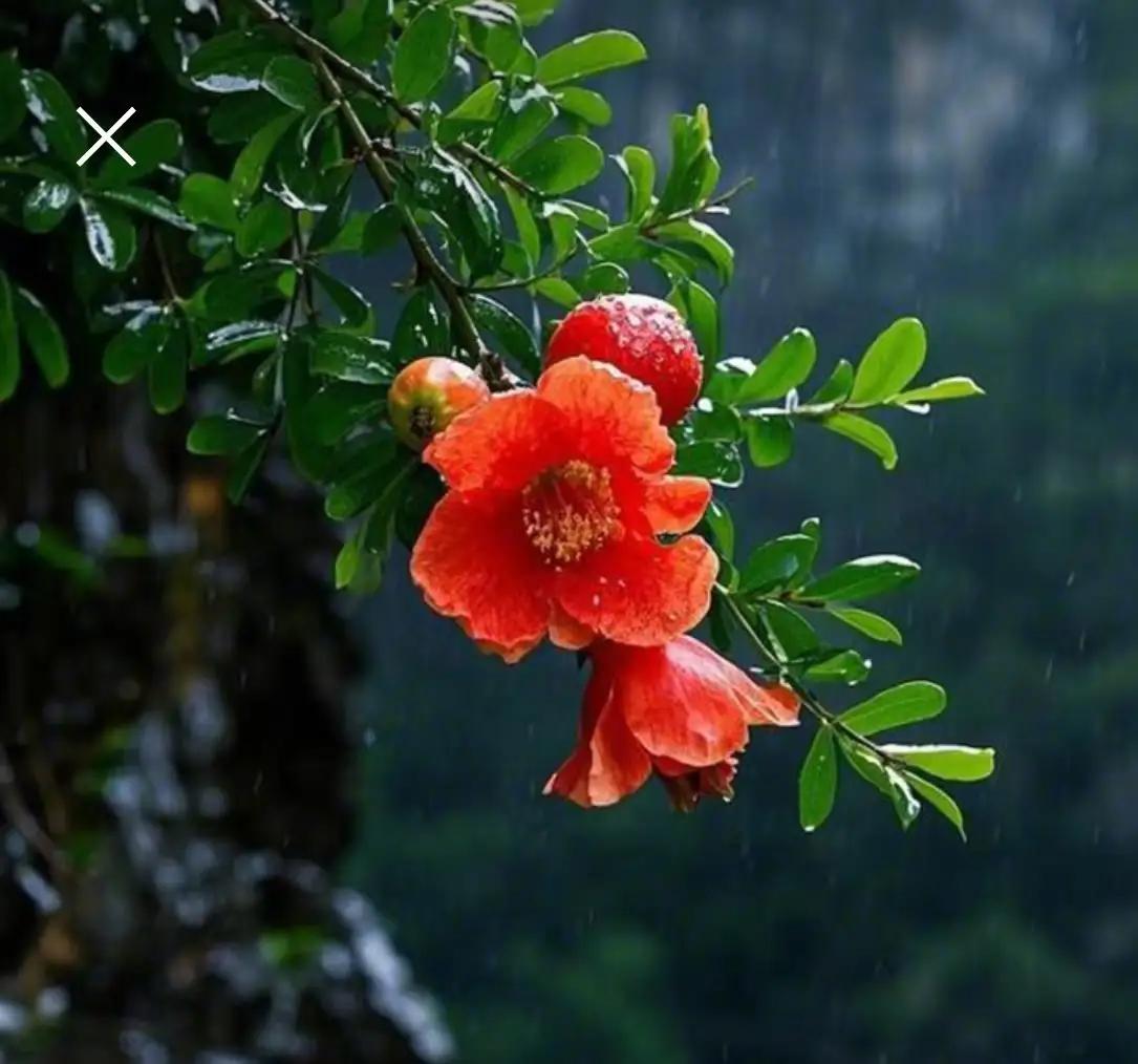 儿子和儿媳妇今天下午才回家，儿子说今年过年他们要各找各妈，我立刻把儿子撵出了门。