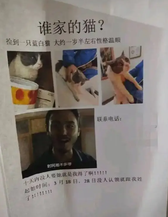这得意劲儿已经跃然纸上了