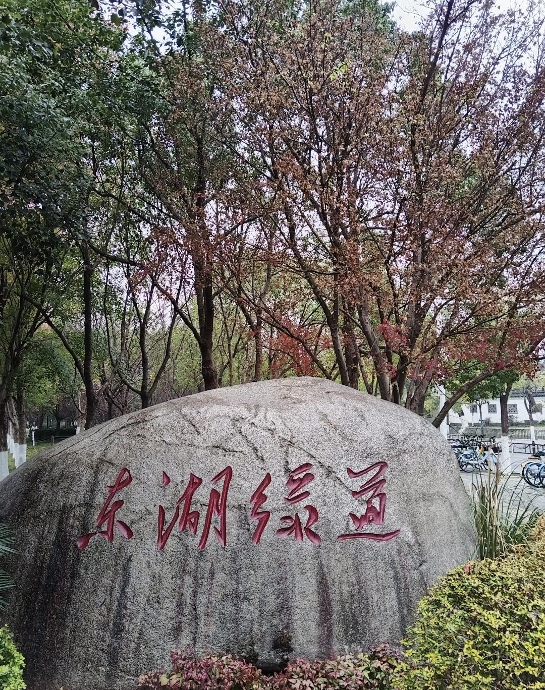 一城绿意半城湖，武汉绿道织新篇在长江之滨，百湖之市，一条蜿蜒105公里的绿道