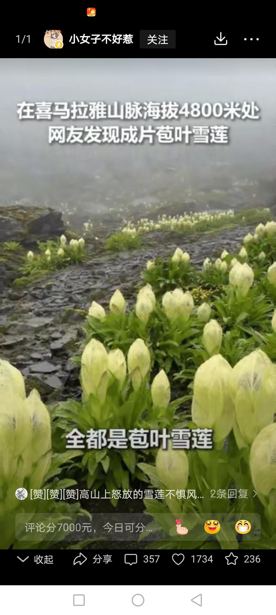 男子独自一人爬喜马拉雅山，爬到海拔大约4800米的时候，他竟然不想下山了，不是因