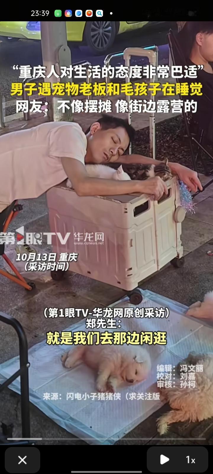 近日，重庆。网友发布一段视频，自己遇到宠物店老板和毛孩子们各睡各的，觉得重庆人松