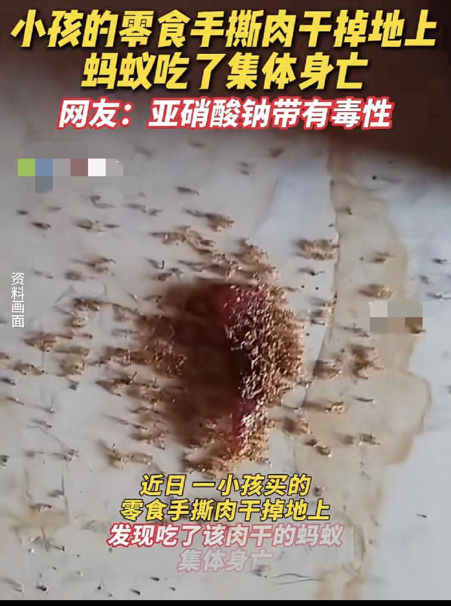 细思极恐！5月19日报道海南，一孩子在家中吃零食时不慎掉落地上一块零食，没曾想家