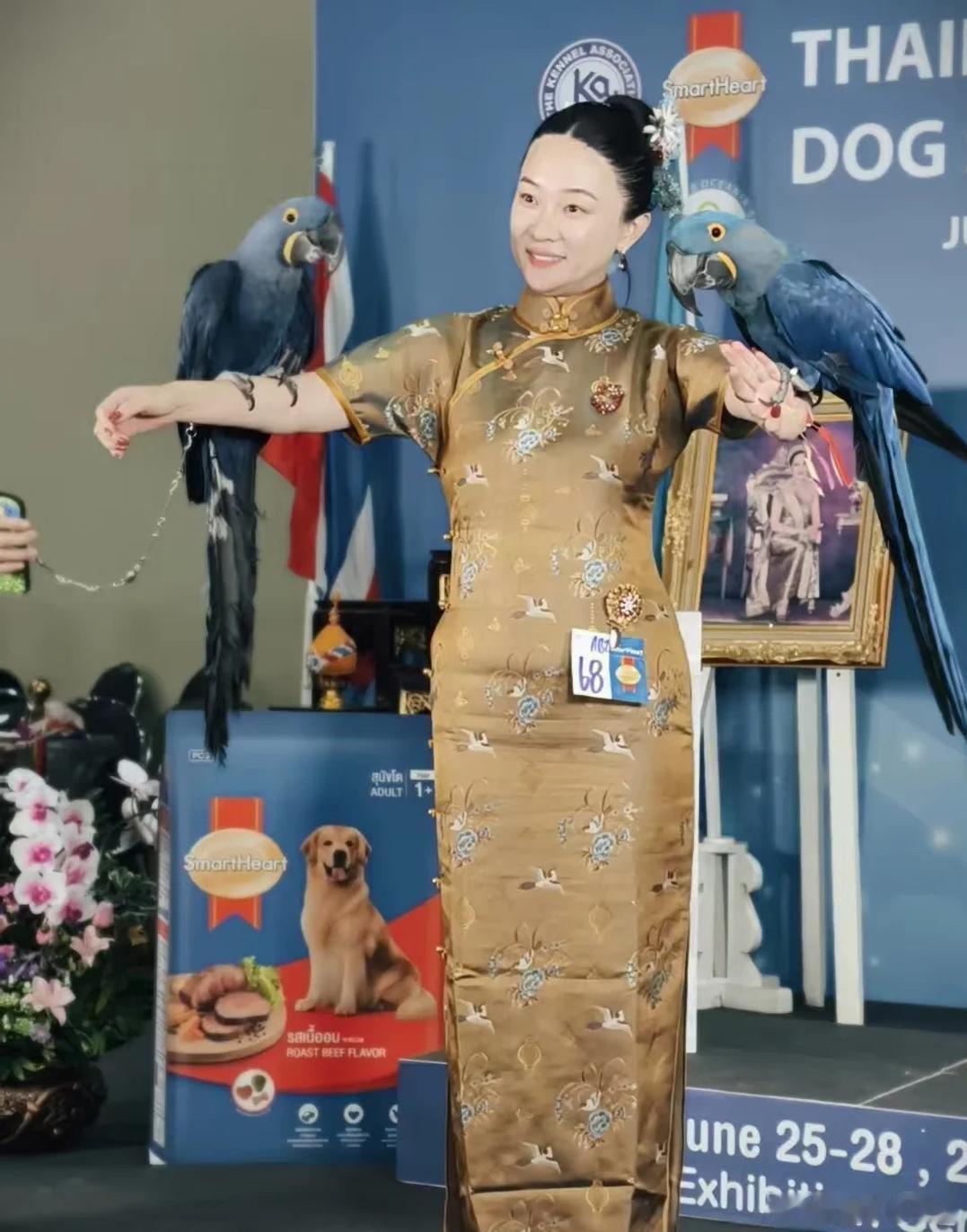 霍思燕家的鸟也好争气！