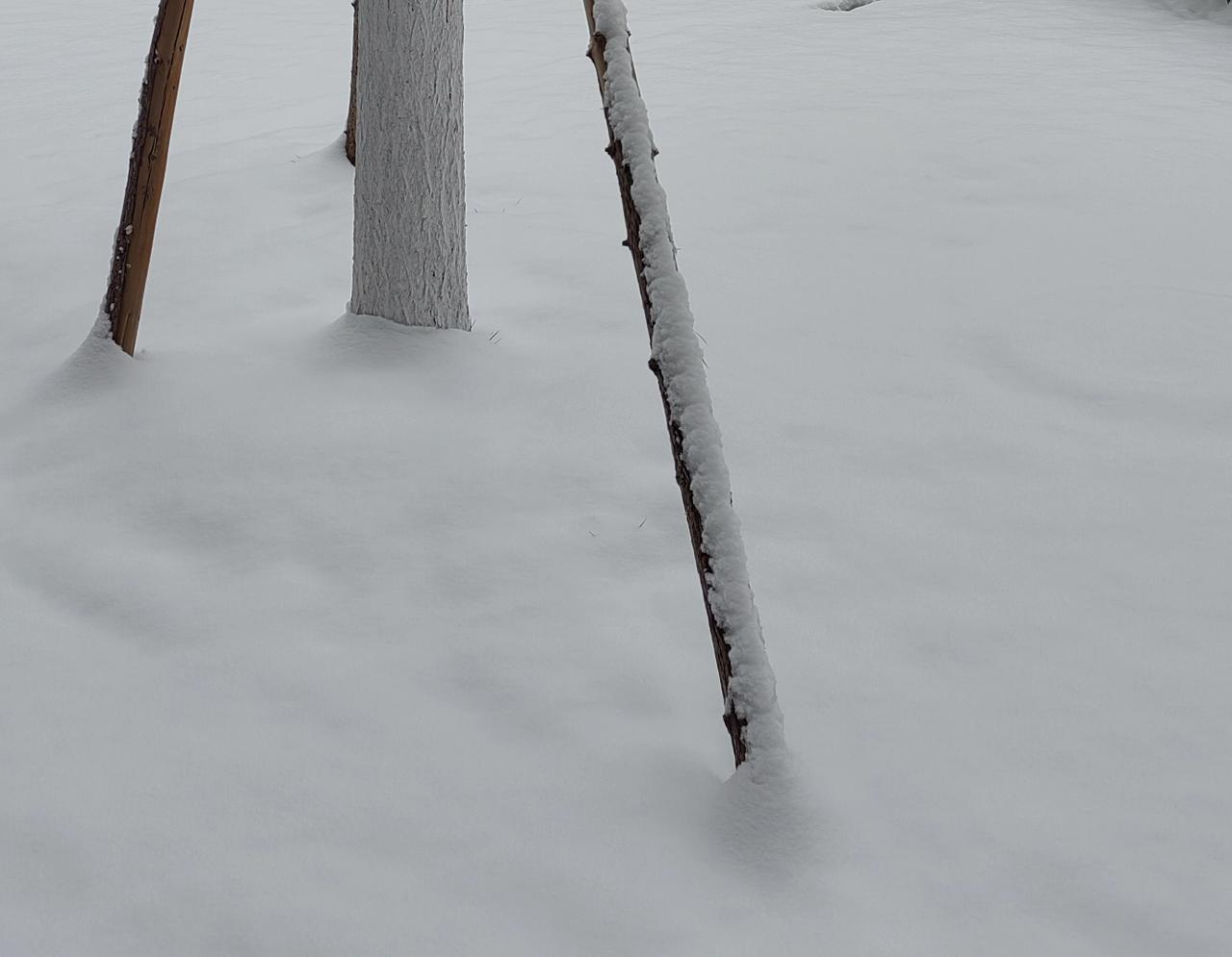 一位职校班主任介绍经验说：即使班里学生取得点成绩，千万不要立即表扬，“赞赏”教育