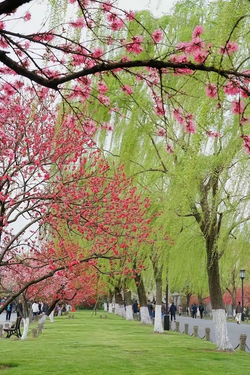 深情的回眸不必说尽人间风月只那一瞬，轻轻回首便胜过万千温柔风停在