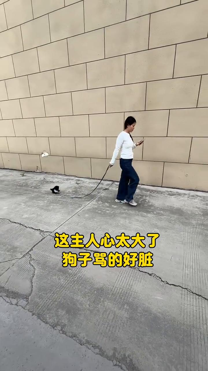 这主人心太大了，狗子骂的好脏。