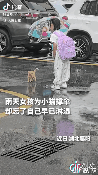 “上人民日报了！”湖北襄阳，一个小姑娘看到雨里有只流浪猫，她没有绕道走，而是弯腰