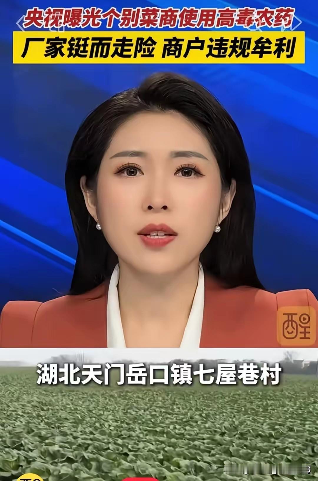 没有买卖，就没有伤害！央视揭露，部分菜农为防虫害，竟违法使用剧毒农药克百威！