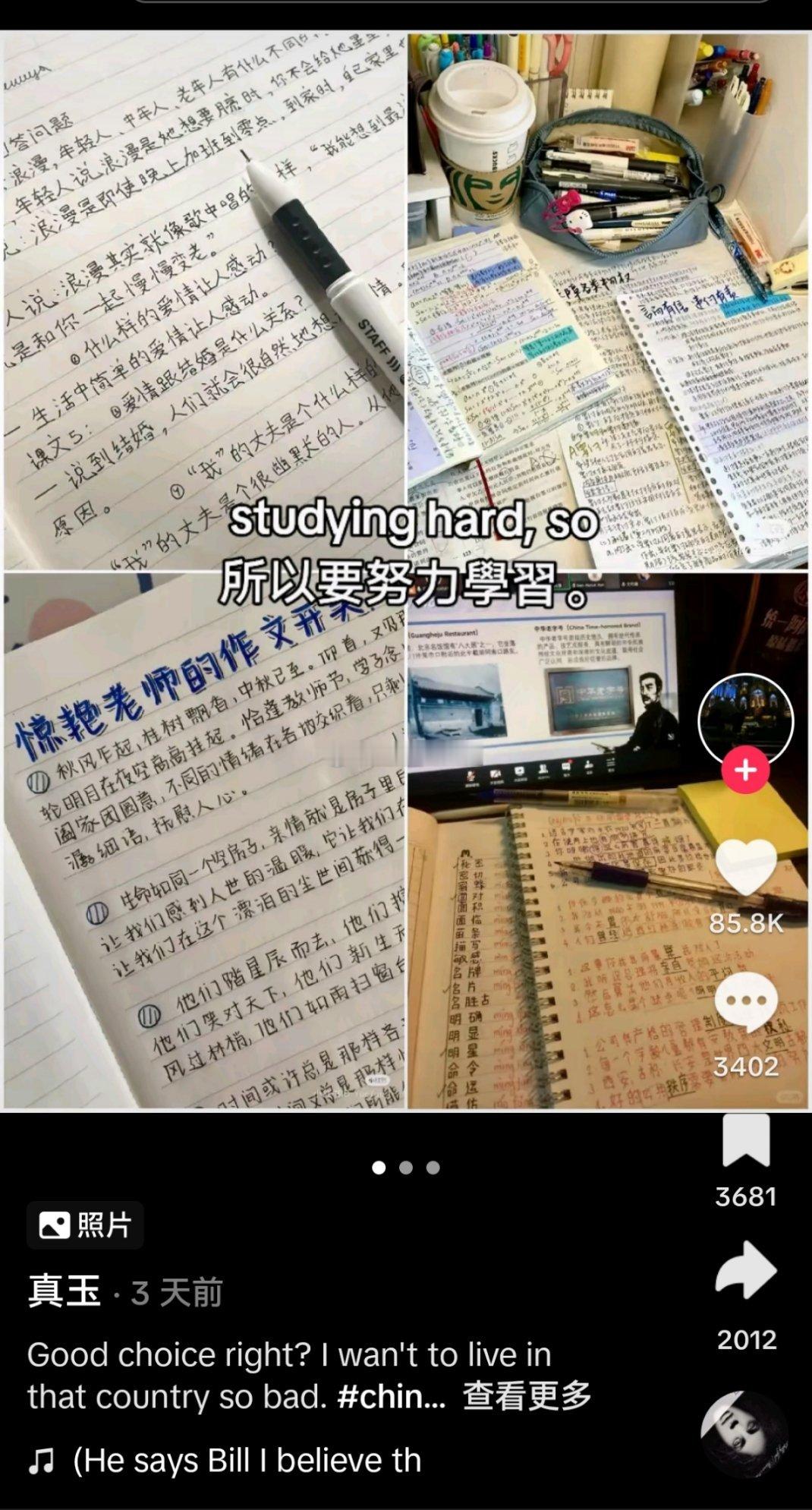 外网上的菲律宾人真的很热衷反串成中国人，说“我要努力学习，这样就可以离开中国，润