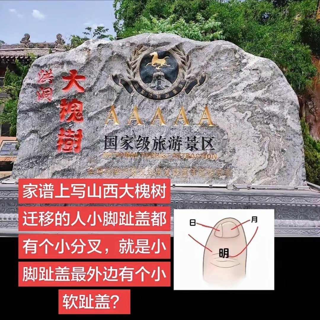 直到刷到大槐树，刷到林黛玉，张居正，刷到人骨教堂，刷到通古斯，刷到……巧合吗？巧