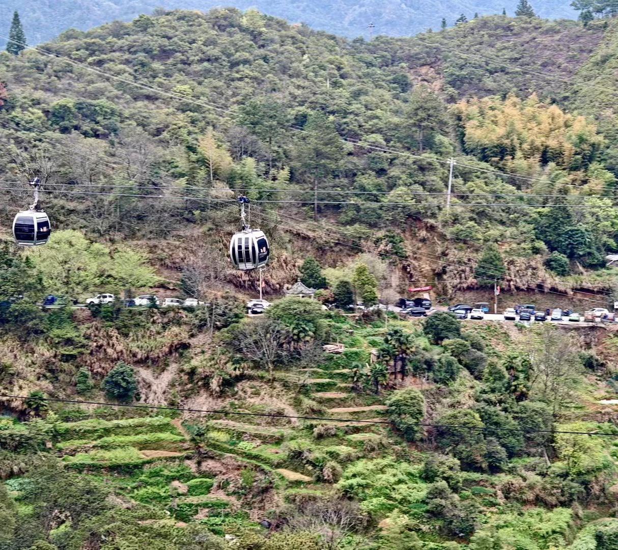 坐缆车穿山间，看层林叠翠，春风漫过梯田，每一眼都是山野的浪漫。