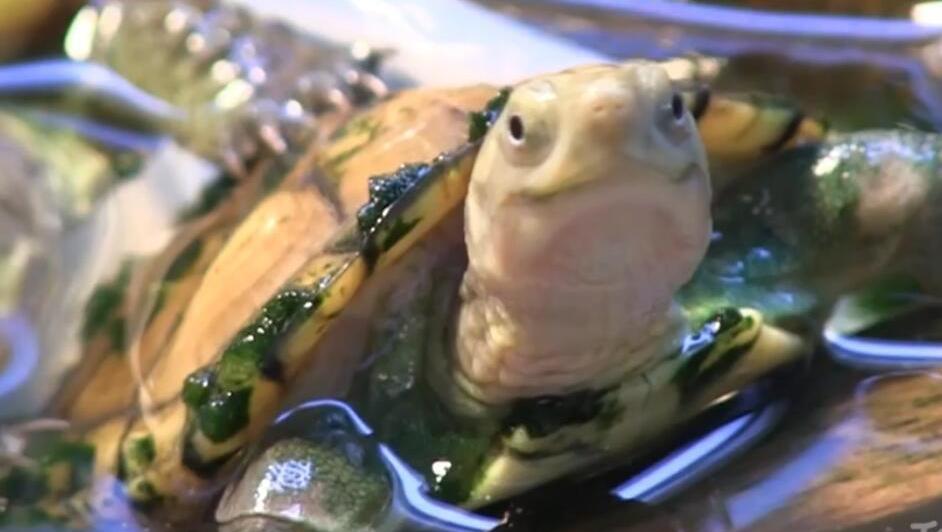 6944063677623450237.jpg?id=0