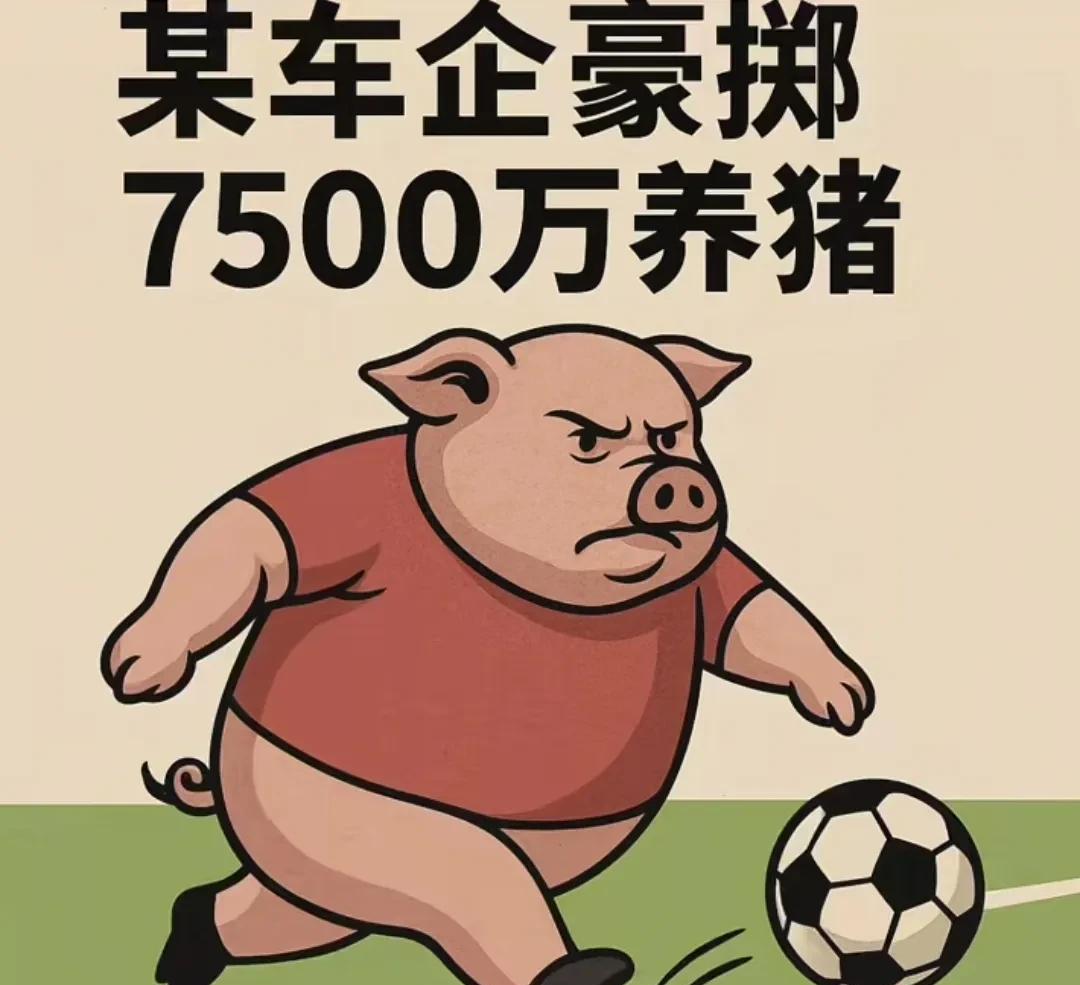 比亚迪豪掷7500万人民币赞助国足，引起全网一片骂声，这回真是惹众怒了，很多球迷
