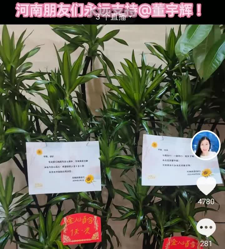 河南朋友给宇辉送绿植庆祝出圈3年，没有受到于教主的影响被带偏。河南是被黑